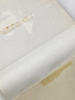 人を自由自在にあやつる本―現代流「揣摩」の術 (1980年)