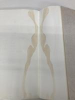 【※イタミ有】経済学の歴史 第2版 (スタンダード経済学シリーズ) 東洋経済新報社 根岸 隆