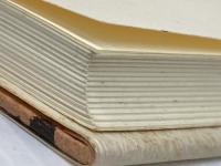 平成新土佐日記 有限会社横山デザイン事務所 清田　康之※イタミ有