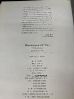 【※イタミ有り】ブリキおもちゃ (WONDERLAND OF TOYS 1) シンコーミュージック・エンタテイメント 北原 照久