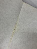 【※イタミ有り】ファイアーエムブレム・聖戦の系譜: 任天堂公式ガイドブック (ワンダーライフスペシャル) 小学館