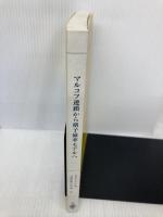【※カバー無し】マルコフ連鎖から格子確率モデルへ: 現代確率論の基礎と応用 シュプリンガー・フェアラーク東京 リナルド・B. シナジ