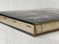 星と嵐 白水社 G・レヴョファ※イタミ有