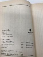 【※イタミ有】月と星の首飾り (講談社文庫 た 9-5) 講談社 立原 えりか