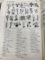 【※箱無し・カバー無し】中国語図解辞典 大修館書店 優, 輿水