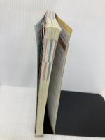 【※書き込み有】A19 地球の歩き方 オランダ ベルギー ルクセンブルク 2016~2017 (地球の歩き方 A 19) ダイヤモンド・ビッグ社 地球の歩き方編集室