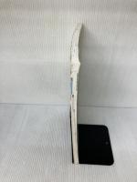 四谷大塚　四科のまとめ　社会