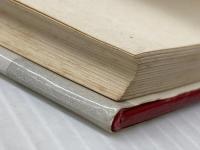 ※イタミ有 視覚の生理とバイオニクス 電子情報通信学会 福島邦彦