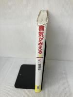 【※書き込み有り】病気がみえる (vol.2) メディックメディア 医療情報科学研究所