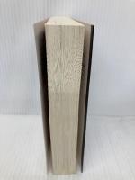 【※イタミ有】心霊探偵八雲12 魂の深淵 (角川文庫) KADOKAWA 神永 学