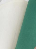 野鳥の生態と観察 (1975年) (生態と観察シリーズ)