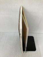 【※イタミ有り】高圧需要設備の地絡保護 オーム社 大川 良泰