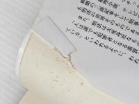 ※イタミ有 刑法早わかり: まんがでスバリ (マイパル・ブックス) 芳文社 下光 軍二