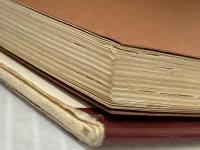 ※イタミ有 裸族―ベネズェラ原住裸族を追って (1979年) 大陸書房 橋本 貞夫