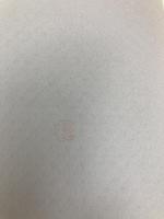 【※カバー無し】恋と詩と最後の唄 邑書林 ネクラーソフ