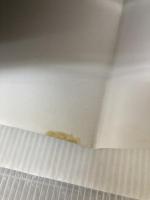 【※イタミ有り】Zone―終の国 Mole(モール) 金瀬 胖