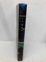 Avalon: 灰色の貴婦人 KADOKAWA(メディアファクトリー) 押井 守