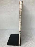 【※イタミ有り】後夜祭VisualWorks: a sherd of youthful memories (KSS BOOKS) ケイエスエス