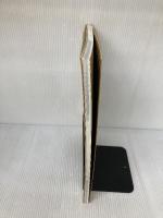 【※イタミ有り】後夜祭VisualWorks: a sherd of youthful memories (KSS BOOKS) ケイエスエス