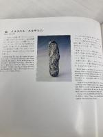宇宙の軌跡・生と死と: 柳澤義幸写真集 日本カメラ社 柳澤 義幸
