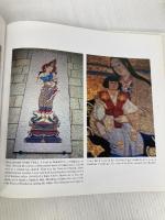 宇宙の軌跡・生と死と: 柳澤義幸写真集 日本カメラ社 柳澤 義幸