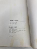 【※イタミ有】中村榮志 / 真方形シリーズ 空飛ぶ折紙 傑作30選 -楽しみの折紙から科学的折紙へ-