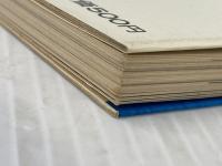 ヤマベの釣り方 (ワンポイント・フィッシング) 西東社 南部昭忠