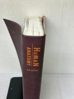 【※カバー無し】解剖学講義 南山堂 伊藤 隆