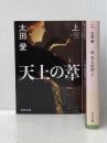 天上の葦 (上)(下)巻セット