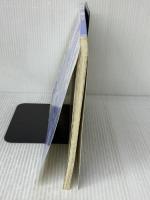 【※カバー無し】かんたん!30日でつくる Nゲージ鉄道模型ミニレイアウト 毎日コミュニケーションズ 諸星 昭弘