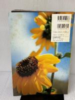 【※イタミ有り】伴都美子/アーティスト・ブック「SummerDays」 Do As Infinity ホーム社 中野 愛子