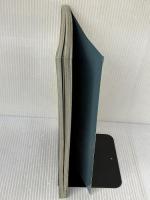 【※イタミ有り】伴都美子/アーティスト・ブック「SummerDays」 Do As Infinity ホーム社 中野 愛子