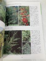 校庭の樹木 (野外観察ハンドブック) 全国農村教育協会 岩瀬 徹