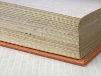 ※カバー無し 新増補 改訂版 遺傳と光線 財団法人 光線研究所 黒田保次郎