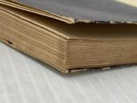 ※イタミ有 親鸞への路標 (1956年)