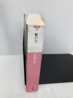 山猫の夏 (小学館文庫 ふ 4-10) 小学館 船戸 与一