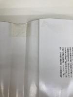 山猫の夏 (小学館文庫 ふ 4-10) 小学館 船戸 与一