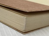 原始キリスト教 (1950年) (岩波全書〈第111〉)