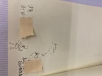 【※イタミア・書き込み有り】土佐・青空 草やのごはん ART NPO TACO 横山礼子/公文美和