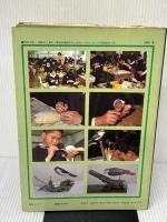 【※イタミ有り】バードカービング: 木彫りの鳥を作ろう 朝日ソノラマ 日本鳥類保護連盟