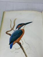 【※イタミ有り】バードカービング: 木彫りの鳥を作ろう 朝日ソノラマ 日本鳥類保護連盟