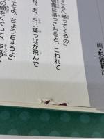 【※イタミ有り】きょうのおはなしなあに 夏 ひかりのくに