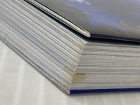 マーメイドのすべて 株式会社 JMA・アソシエイツ(ライトワークス) ドリーン・バーチュー