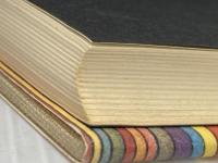 めぐり逢い (1976年)  後藤 明生