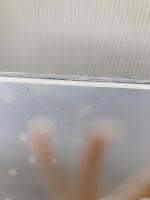 【※イタミ有り】桜井日奈子 2019カレンダーブック (カドカワエンタメムック) KADOKAWA 桜井日奈子