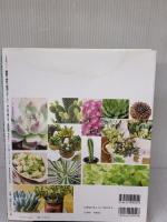 【※イタミ有り】NHK「趣味の園芸ビギナーズ」 はじめて育てる! 多肉植物 サボテン (生活実用シリーズ) NHK出版 野里 元哉