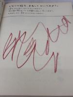 【※多数の書き込み有り】おえかきレッスン わくわくワーク (おえかきレッスン・シリーズ) グラフィック社 マリオン・デュシャーズ