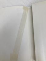 ヒト、犬に会う 言葉と論理の始原へ (講談社選書メチエ 705) 講談社 島 泰三