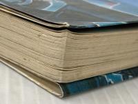 ※イタミ有 父と息子とバイク ルックナウ(グラフGP) 渡辺 靖彰