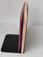 【※イタミ有り】もっと知りたい双極性障害 ココロの健康シリーズ 翔泳社 加藤 忠史